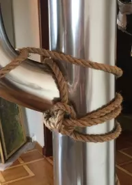 Cactus "Shibari" art object